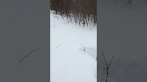 Остяк вездеход глубокий снег 2