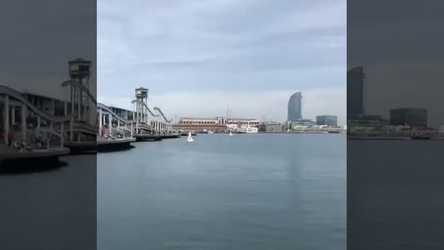 Чайка топит голубя жесть смотреть онлайн