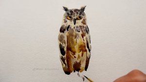 Watercolor Owl Painting | How To Paint | Birds Sketch Art Tutorial