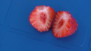 ЛОРД очень вкусный среднеспелый сорт клубники