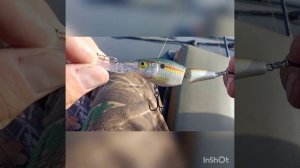 Рыбалка в Воронежской области. Октябрь.