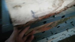 Сушка дуба и карагача. Отчет о результатах.