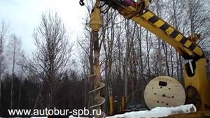 Японский ямобур в СПб