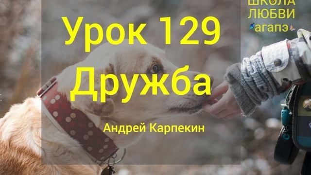 129. Дружба. Школа Любви Агапэ. смотреть онлайн