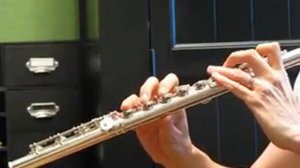 Gemeinhardt 33SB Thin Wall Professional Flute - Low Register Demo