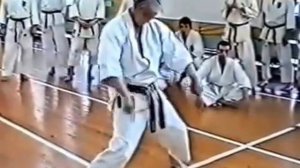 Karate Hidetaka Nishiyama Seminar Karate Shotokan