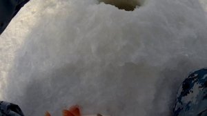 Ловля сороги на чебоксарском водохранилище Коротни безмотылка