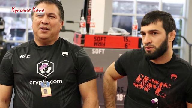 Зубайра Тухугов узнал грозного соперника |Дос Аньос считает Хабиба сильнее Ислама |Ник Диаз vs Усма смотреть онлайн