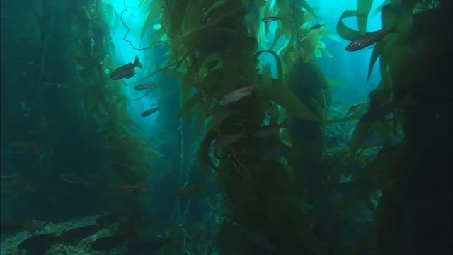 NASA: Keeping Up With Carbon [720p] смотреть онлайн