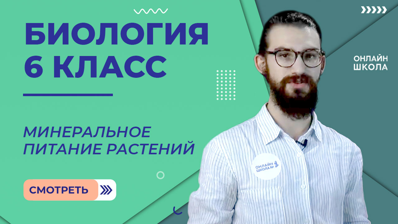 Минеральное питание растений. Урок 15. Биология 6 класс