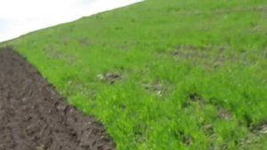 ПОСАДКА КАРТОШКИ МОТОБЛОКОМ ( ОКУЧНИКИ)