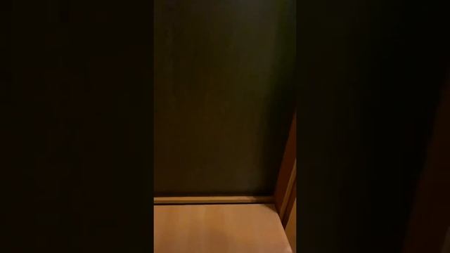 Секретный Гроубокс смотреть онлайн