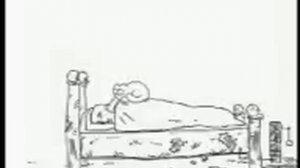 Кот будит хозяина