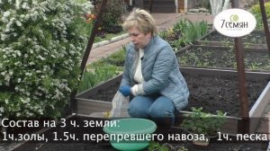 КАК ПРАВИЛЬНО ПОСАДИТЬ КЛУБНИКУ?ТОНКОСТИ ПОСАДКИ И СЕКРЕТЫ УХОДА!