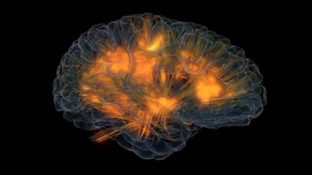 Narcissistic Personality Disorder смотреть онлайн