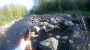 Ловим много щуки со спиннингом на реке Волгайоки