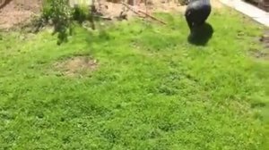 Весеннее танго