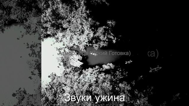 Прекрасный - Сосредоточенность смотреть онлайн