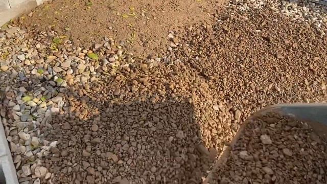 04.10.21. Подготовили под бетонирование часть отмостки. Готова грядка под чеснок.