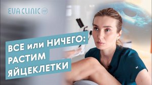 Растим фолликулы с низким АМГ/Стимуляция/В протоколе ЭКО