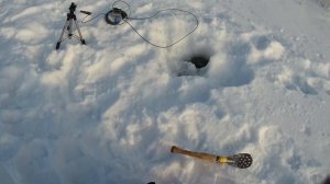 Зимняя рыбалка на окуня в Новосибирске. Рыбалка на озере Глухое. Fishing in Siberia. Рыбалка 2020