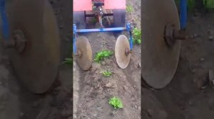 окучивание картофеля мотоблоком с дисковыми окучниками
