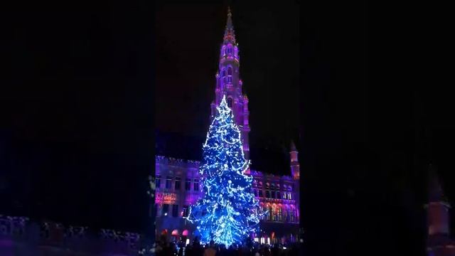 Grand-Place Bruxelles Главная площадь Брюсселя.