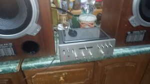 амфитоны 35ас018