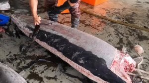 Super huge Marlin fish cutting