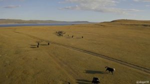 озеро Хубсугул,Ханх, Монголия