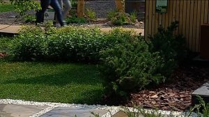 Зеленый участок. Природные цветники на дачном участке