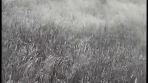 Ute Lemper: 6 Celan Songs, No. 4 "Corona"