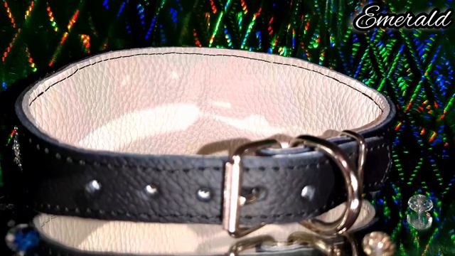 Collar.  Exclusive jewelry for dogs. Saluki. Galgo. Greyhound.