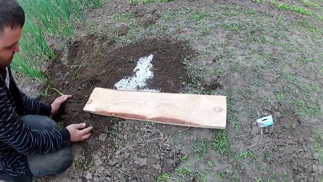 Как поймать крота. 100% рабочий способ смотреть онлайн