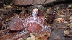 Великая река начинается здесь!