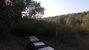 ✅Самый важный месяц для пчел! Пасека на связи#8