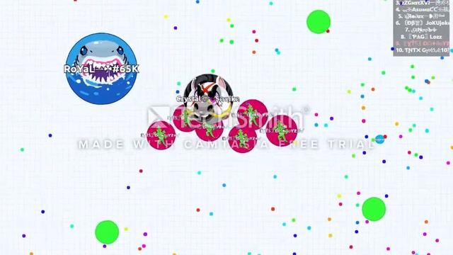 agario/INSANE.BAIT.diepio/TWIN.GUNS смотреть онлайн