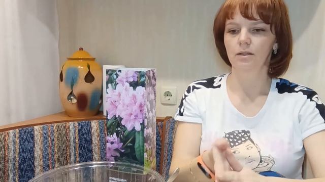 Рододендрон (Посадка рододендрона в феврале)