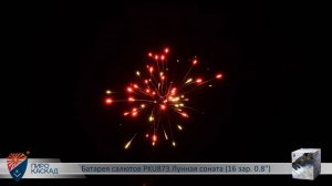 Батарея салютов PKU873 Лунная соната (16 зар. 0,8)