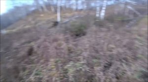 Стрельнул и Бобёр утонул.Что делать?