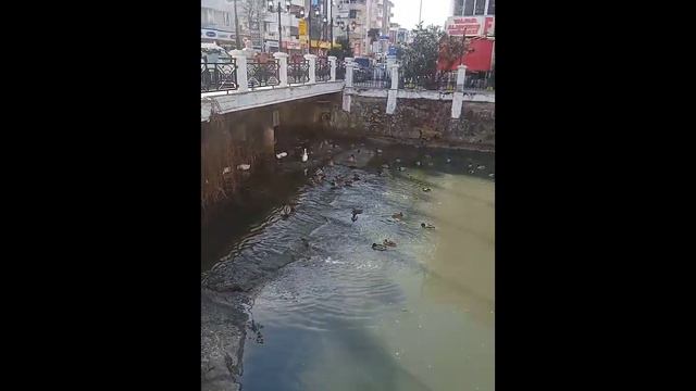 Поездка в Ялову.Сделали сами бумагу)Что есть на набережной в Ялове?#турция2023#ялова#жизньнаморе