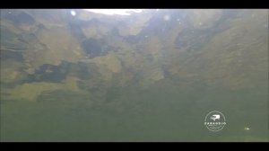 Северный Урал | огромный хариус | на лодке по горной реке | рыбалка на спиннинг