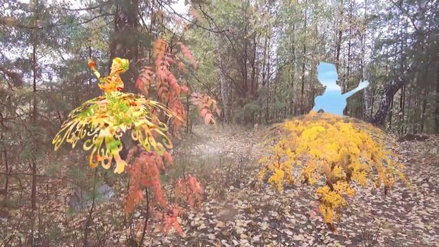 Танец Осени смотреть онлайн