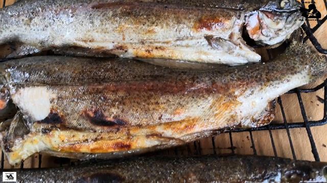 Шашлык из печени с курдючным салом , форель на мангале !