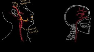 Temporal arteritis | Circulatory System and Disease | NCLEX-RN | Khan Academy