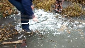 Установка проходного капкана  на бобра