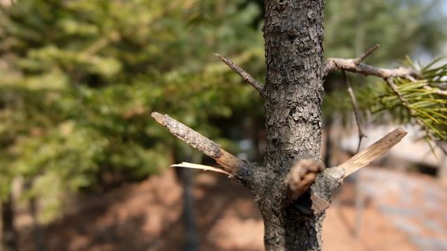 Fuji X-T20 4K sample video смотреть онлайн