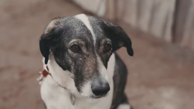 А если ненужным станешь ты? Предательство смотреть онлайн