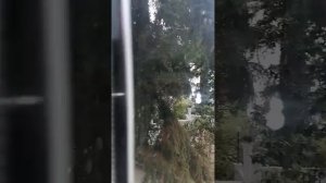 Дом на территории санатория Ай-Петри|Эллада|2х комнатный|+79788054483 Елена