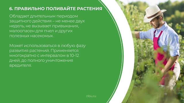 Дистанционный курс обучения «Защита и карантин растений» - 6 секретов профилактики болезней растени смотреть онлайн